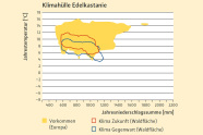 Klimahülle der Edelkastanie. An den Achsen des Diagramms Jahrestemperatur und -niederschlagssumme. Verbreitungsgebiet in Europa bei 500mm und 6°C bis 1900mm und 16°C. Zudem gegenwärtiges und zukünftiges Klima. Klimaprofil der Edelkastanie wird zu zukünftigem Klima besser als zu derzeitgem passen.