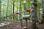 Auffangvorrichtung mit Kippwaage zur Messung des Stammabflusses sowie Rinne zur Messung des Kronendurchlasses im Wald