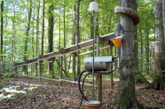 Auffangvorrichtung mit Kippwaage zur Messung des Stammabflusses sowie Rinne zur Messung des Kronendurchlasses im Wald
