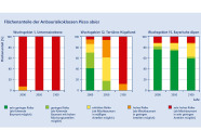 Drei bunte Balkendiagramme