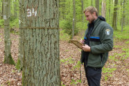 Beamter der Bayerischen Forstverwaltung steht in Dienstkleidung neben einem Baum.