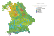 Bayern und seine Bäume aktuell. Viel Buchen- und Buchenmischwald, an nasseren und trockeneren Standorten Eichen- und Eichenmischwald, an Flussläufen Erlen-Eschen-Ulmenwald, vereinzelt auch Edellaubwald, dazu etwas Moorwälder, in bergigen Regionen Tannen- und Fichtenwald sowie Latschengebüsch.