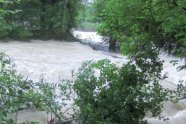 Reissender und über die Ufer getretener Fluss in Waldgebiet