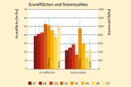 Balkendiagramm in rot über orange bis blassgelb