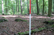 Rot-weißer Fluchtstab im Wald