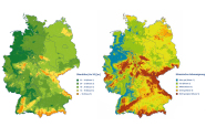 Klimatisches Wachstumspotenzial der Edelkastanie in Deutschland und Verschneidung von Vorkommensund Wachstumsmodellierung zur Anbaueignung der Edelkastanie in Europa