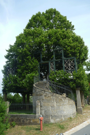 Alte Linde mit Steintreppe und Holzkonstruktion im Baum.
