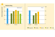 Diagramme, die den Niederschlag unter verschiedenen Baumbeständen angeben.