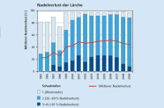 Seit dem Jahr 2000 verlichten sich die Kronen der Lärchen stärker.