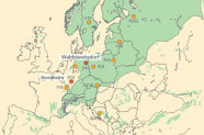 Umrisskarte von Europa zeigt grün schattiert das natürliche Verbreitungsgebiet der Kiefer sowie mit roten und orangen Punkten markiert die elf Versuchsstandorte.