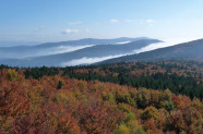 Bewaldete, hügelige Landschaft