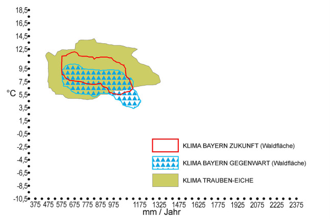 Klimahülle der Trauben-Eiche (Quercus petrea) in Bayern. Auf der X-Achse ist der durchschnittliche Jahresniederschlag in mm, auf der Y-Achse die Jahresdurchschnittstemperatur in °C zu finden. Das zukünftige trockenere und wärmere Klima Bayerns ist rot markiert. Der für die Traubeneichenverbreitung kennzeichnende Klimabereich, welcher als grüne Fläche eingezeichnet ist, deckt sich komplett mit dem künftigen Klima in Bayern. Der gegenwärtige Klimabereich Bayerns ist blau umrandet und mit blauen Dreiecken schraffiert und deckt sich in großen Teilen mit dem Klima des Eichenvorkommens.