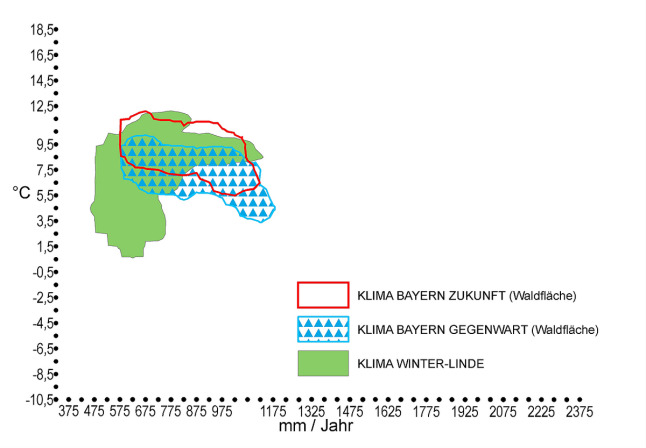 Klimahülle - Klimahülle der Winter-Linde (Tilia cordata) in Bayern. Auf der X-Achse ist der durchschnittliche Jahresniederschlag in mm, auf der Y-Achse die Jahresdurchschnittstemperatur in °C zu finden. Das zukünftige trockenere und wärmere Klima Bayerns ist rot markiert. Der für die Winterlindenverbreitung kennzeichnende Klimabereich, welcher als grüne Fläche eingezeichnet ist, deckt sich in großen Bereichen mit dem künftigen Klima in Bayern. Der gegenwärtige Klimabereich Bayerns ist blau umrandet und mit blauen Dreiecken schraffiert und deckt sich in den warmen und trockeneren Bereichen mit dem Klima des Lindenvorkommens.