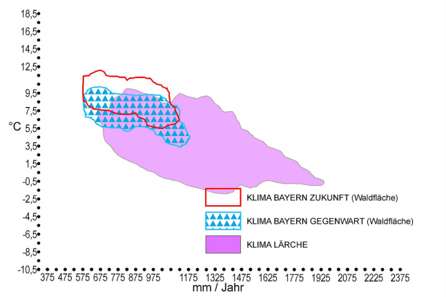 Klimahülle der Europäischen Lärche (Larix decidua). Auf der X-Achse ist der durchschnittliche Jahresniederschlag in mm, auf der Y-Achse die Jahresdurchschnittstemperatur in °C zu finden. Das zukünftige trockenere und wärmere Klima Bayerns ist rot markiert. Das für die Lärche optimale Klima, welches als hellrosa Fläche eingezeichnet ist, deckt sich nur in Teilen mit dem künftigen Klima in Bayern. Der gegenwärtige Klimabereich Bayerns ist blau umrandet und mit blauen Dreiecken schraffiert und deckt sich in großen Teilen mit dem Lärchenoptimum.