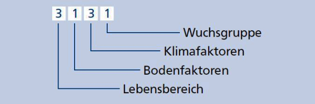 Grafik mit den vier Zahlen 3, 1, 3 und 1 in weißen Kästen und den mit blauen Pfeilen verbundenen Bedeutungen: Wuchsgruppe, Klimafaktoren, Bodenfaktoren und Lebensbereich.