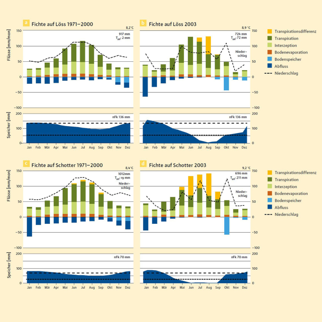 Vier Balkendiagramme auf gelbem Hintergrund