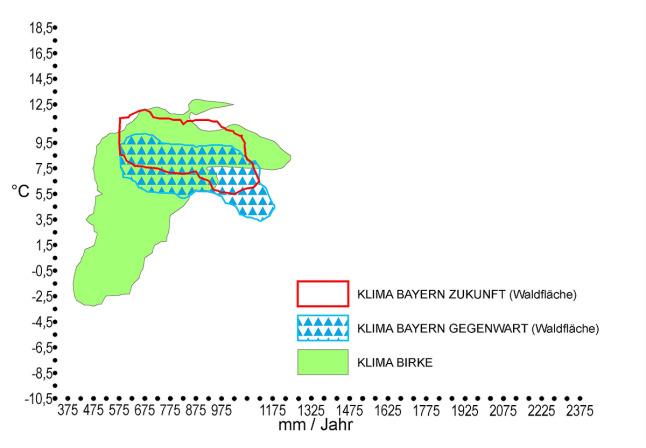 Klimahülle der Sand-(Hänge-)Birke (Betula pendula): Die klimatischen Standortsansprüche der Sandbirke stimmen aktuell und auch zukünftig größtenteils mit dem Klima in Bayern überein.