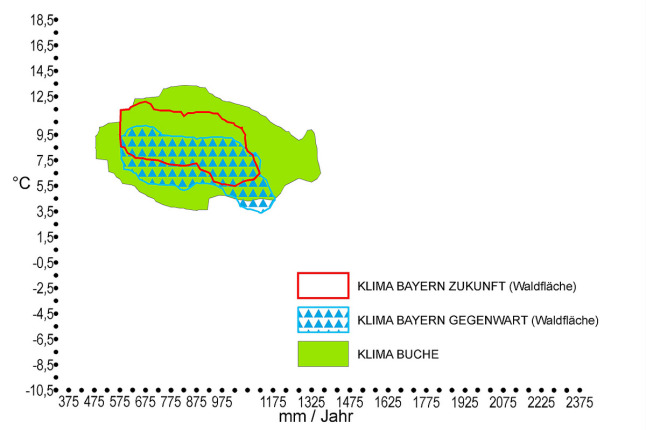 Klimahülle der Buche (Fagus sylvatica) in Bayern. Auf der X-Achse ist der durchschnittliche Jahresniederschlag in mm, auf der Y-Achse die Jahresdurchschnittstemperatur in °C zu finden. Das zukünftige trockenere und wärmere Klima Bayerns ist rot markiert. Der für die Rotbuchenverbreitung kennzeichnende Klimabereich, welcher als grüne Fläche eingezeichnet ist, deckt sich komplett mit dem künftigen Klima in Bayern. Der gegenwärtige Klimabereich Bayerns ist blau umrandet und mit blauen Dreiecken schraffiert und deckt sich komplett mit dem Klima des Rotbuchenvorkommens.