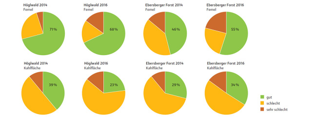 Tortendiagramme die zeigen, wie die Qualitätsansprache der Buchenverjüngung auf den einzelnen Flächen ist.