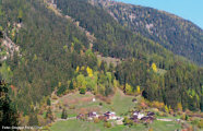 Bergwald oberhalb einer Siedlung.