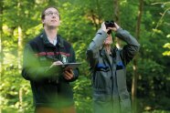 Mann und Frau mit Klemmbrett und Fernglas schauen im Wald nach oben.