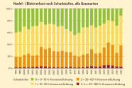 Grafik zeigt: Entwicklung der Anteile der Schadstufen bei allen Baumarten seit 1998