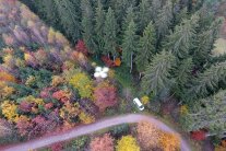 Waldstück von oben mit einer fliegenden Drohne im Mittelpunkt.