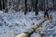 Baumstamm liegt im Schnee und wird von einem Mann in kleine Stücke gesägt