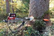 Fällkeil der im Baum steckt