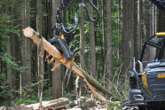 Harvester im Wald, während er einen Stamm entrindet