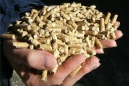 Eine Hand hält einen Haufen Holzpellets