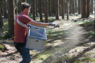 Person verstreut Siebreste aus einer grauen Kiste im Wald.