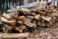 Ein Berg Brennholz im Wald