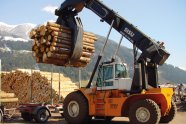 Eine große Maschine mit Greifarm vorne verlädt Rundholz