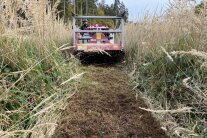 Funkraupe reißt Grasdecke auf Pflanzfläche auf