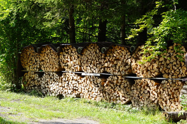 Energetische Verwendung von Waldholz neu geregelt