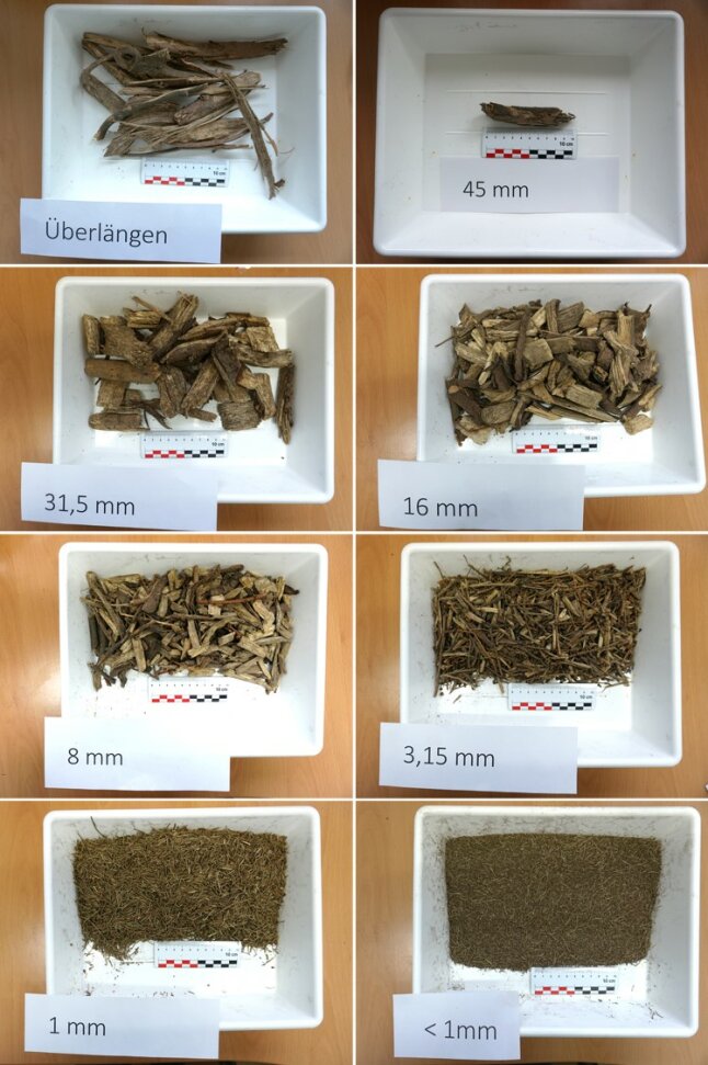 acht Schälchen mit unterschiedlich feinen gesiebtem Material