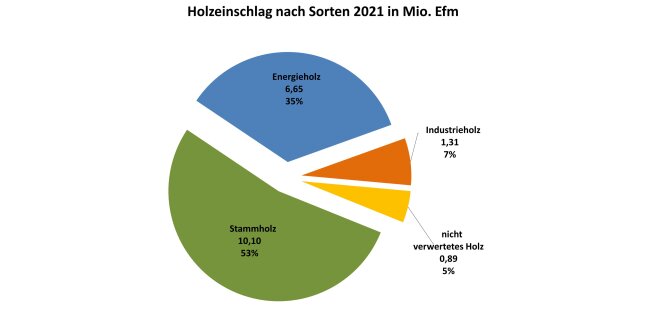 Kreisdiagramm zeigt Holzeinschlag in Bayern 2021 nach Sorten