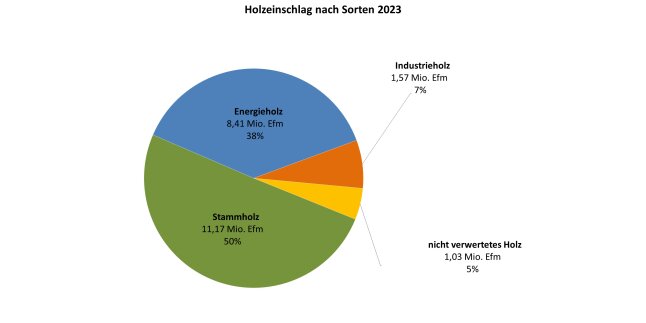 Kreisdiagramm zeigt Holzeinschlag in Bayern 2023 nach Sorten
