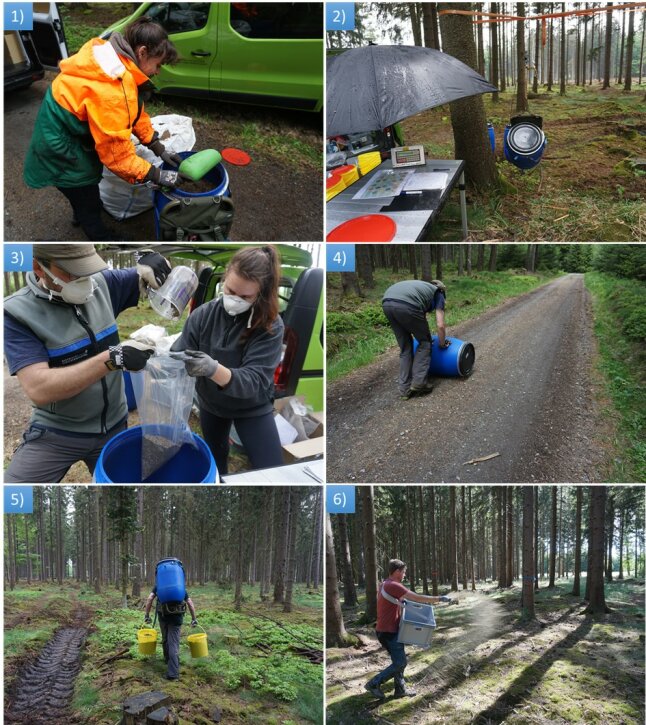 Mitarbeitende im Wald mit Eimern, Fässern und aufgebautem Feldlabor