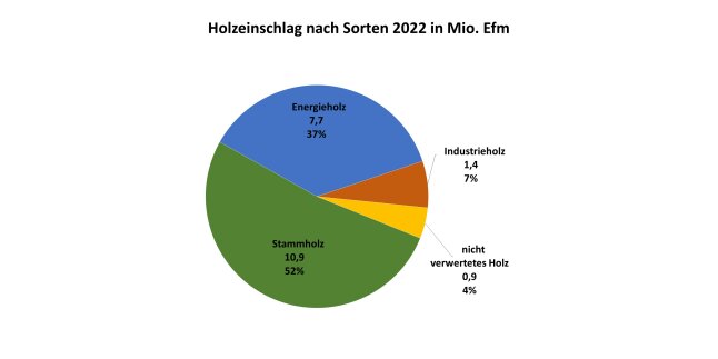 Kreisdiagramm zeigt Holzeinschlag in Bayern 2022 nach Sorten