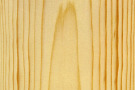 Tangentialschnitt Fichtzenholzes, mit Fladern