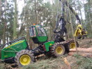 Harvester John Deere 1470 E als Sechsradmaschine mit Bändern bei der Holzernte