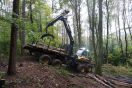 Grüne Forstmaschine transportiert Holz aus dem Wald.