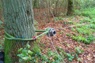 Seilwinde mit Seilen an Baum