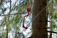 Tragseilstütze hängt am Baum und sichert die Höhe des Tragseils.
