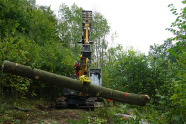 Gelber Bagger mit starkem Laubholzsstamm in Greifer.