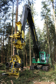 Harvester im Wald. Im Vordergrund der Greifarm.