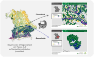 Links das bayernweite Ertragspotenzial von Pappel-KUP auf Landwirtschaftsflächen (modelliert), rechts oben die Darstellung auf Flurstücksgröße, rechts unten auf Gemeindeebene. 