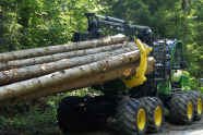 Forwarder (Forstmaschine) hat mehrere langeFichtenstämme geladen.